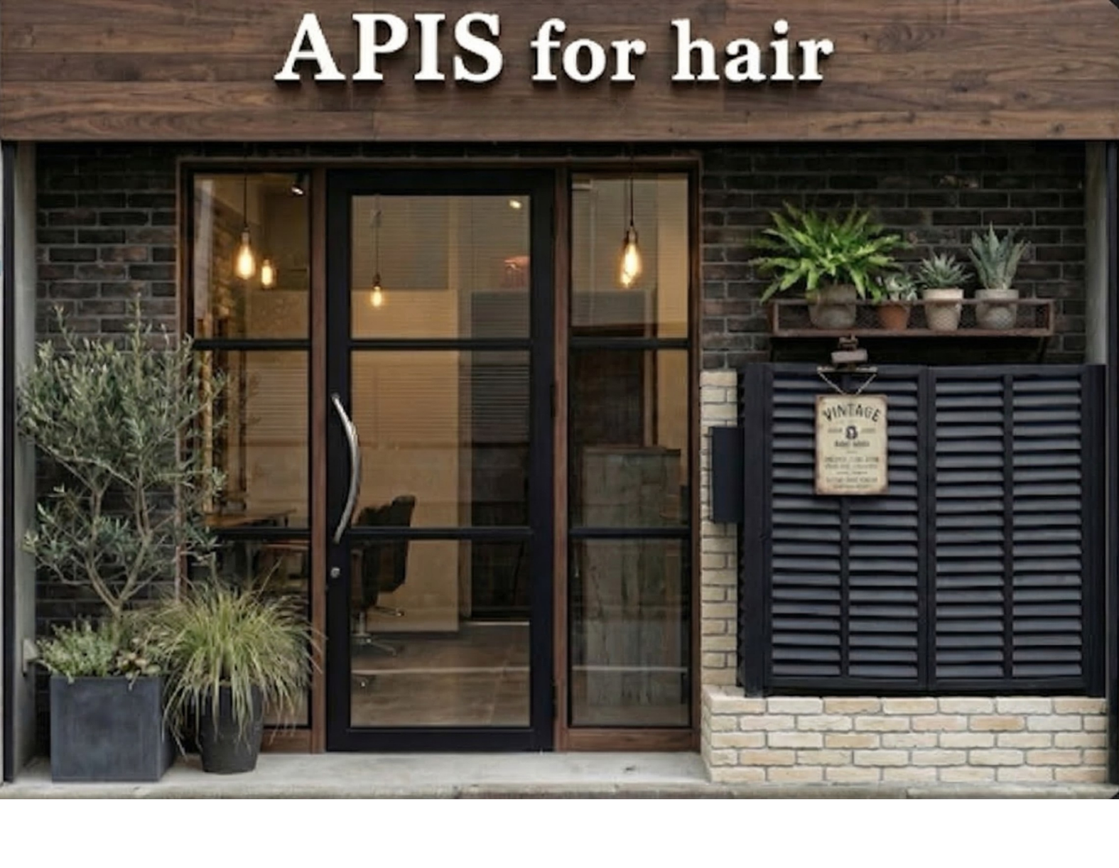 APIS for hair 外観